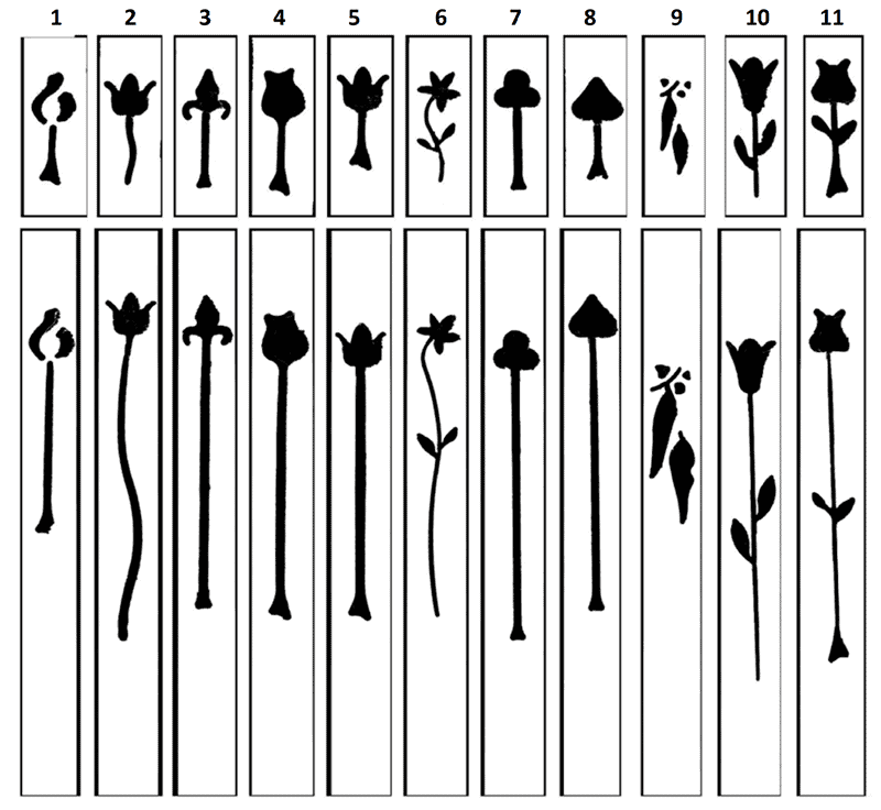 10-motif-designs